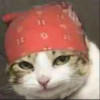 Isabel2DX's Avatar